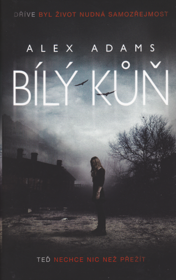 Bílý kůň