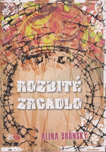 Rozbité zrcadlo
