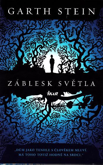 Záblesk světla