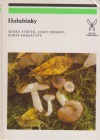 Holubinky