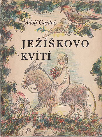 Ježíškovo kvítí ant.