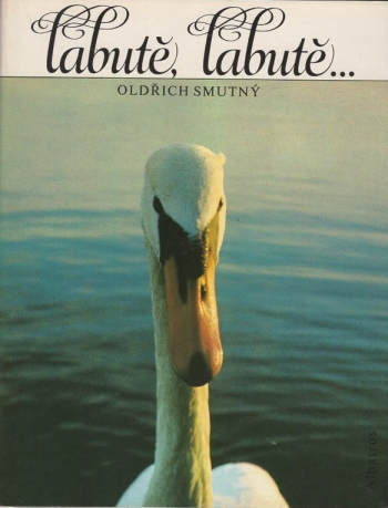 Labutě, labutě…
