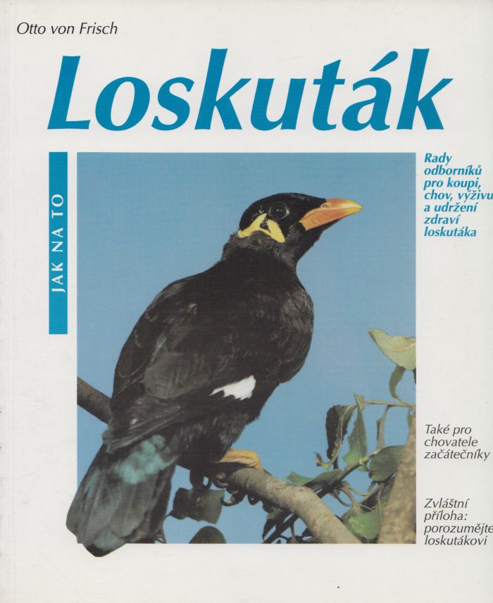 Loskuták