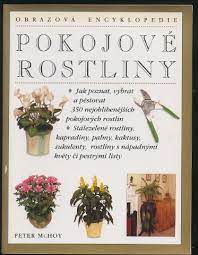 Pokojové rostliny