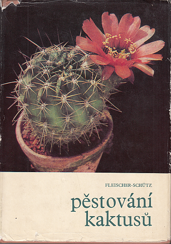 Pěstování kaktusů