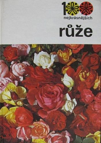 Růže