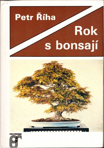 Rok s bonsají
