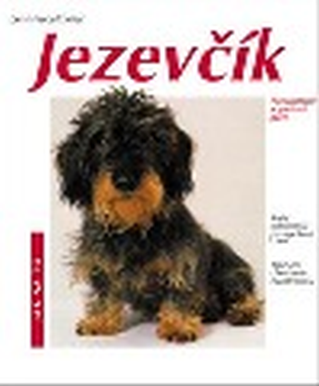 Jezevčík
