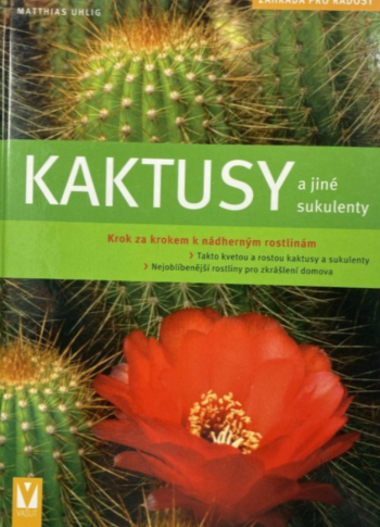 Kaktusy a jiné sukulenty
