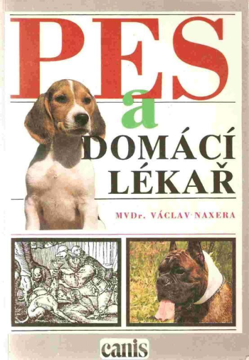 Pes a domácí lékař