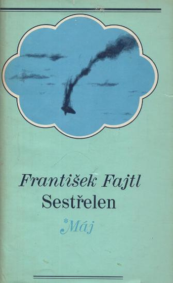 Sestřelen