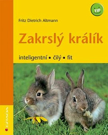 Zakrslý králík