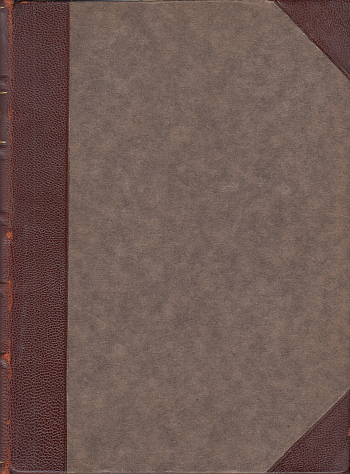 V ohradě měst a městských zdech