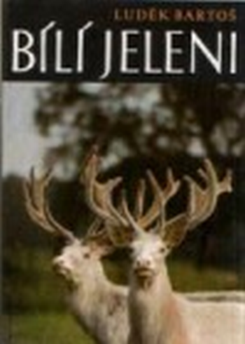 Bílí jeleni