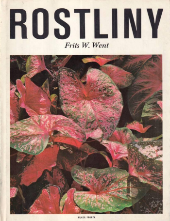 Rostliny
