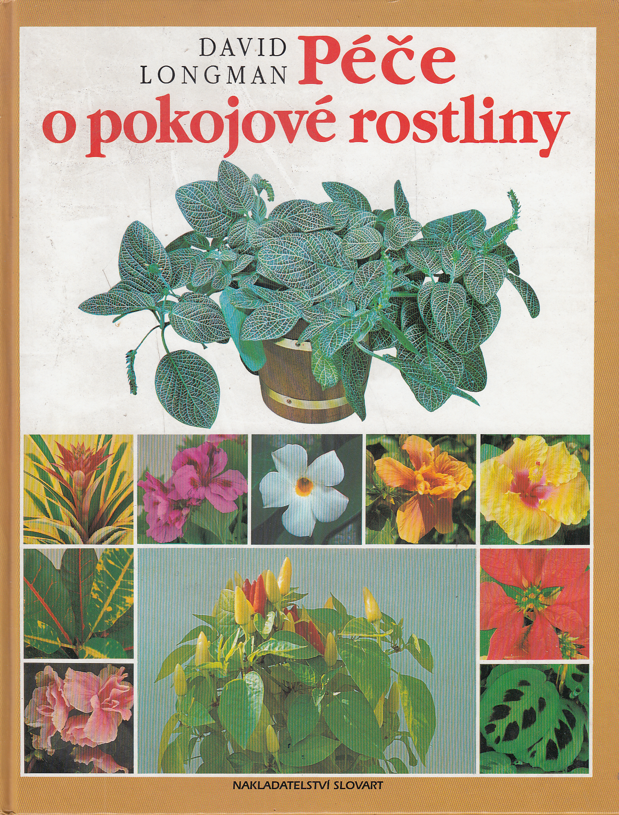 Péče o pokojové rostliny