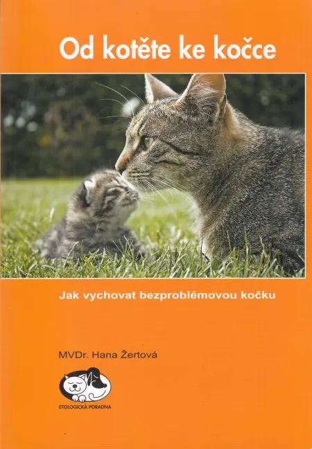 Od kotěte ke kočce