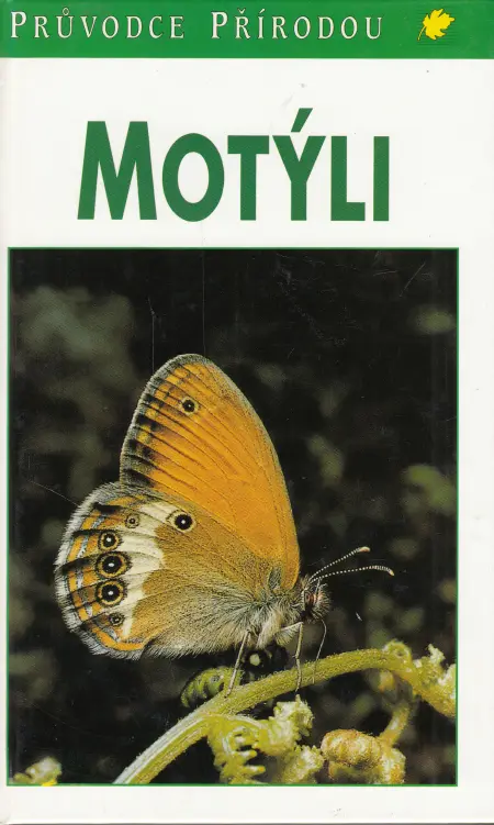 Motýli
