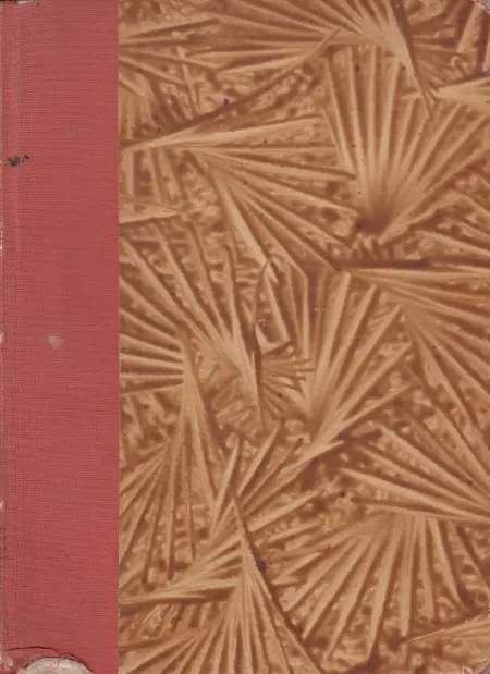 Metla nebes