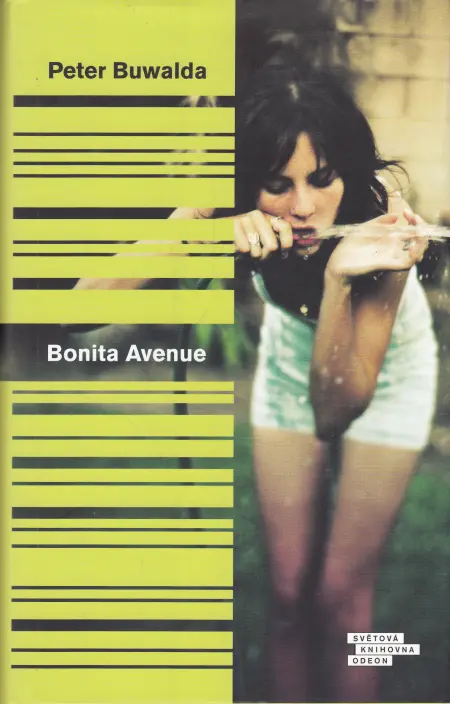 Bonita Avenue