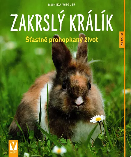 Zakrslý králík