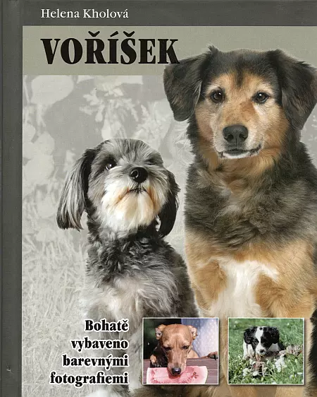 Voříšek