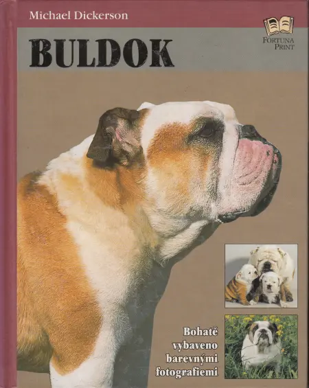 Buldok