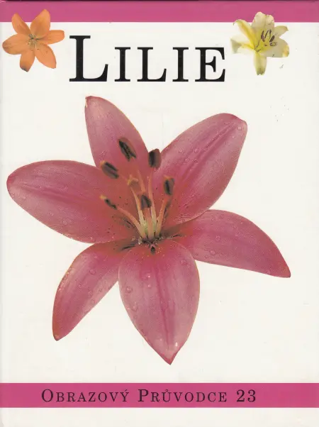 lilie – obrazový průvodce