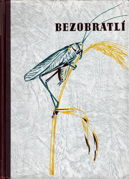 Bezobratlí I.+II.