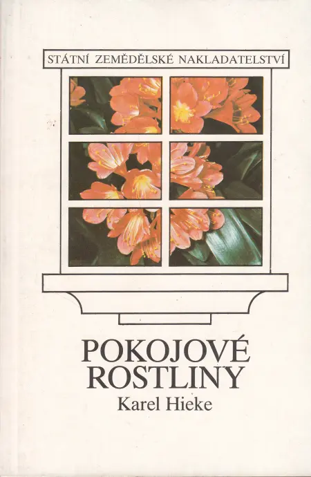 Pokojové rostliny