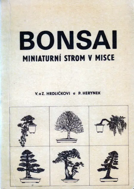 BONSAI – Miniaturní strom v misce