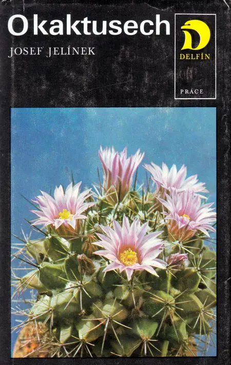O kaktusech