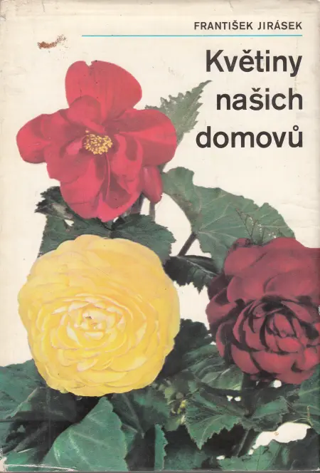 Květiny našich domovů