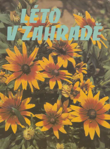 Léto v zahradě