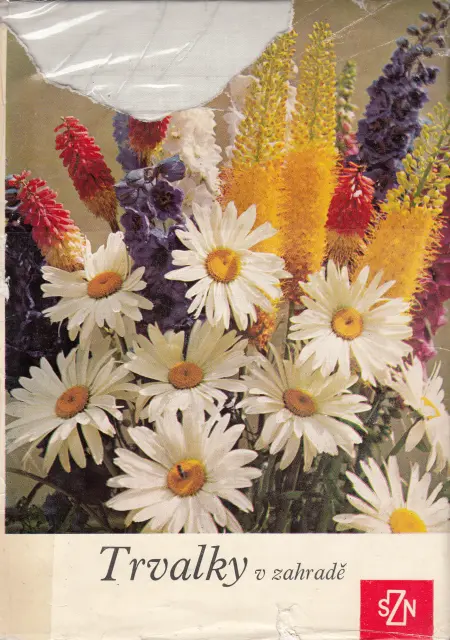 Trvalky v zahradě