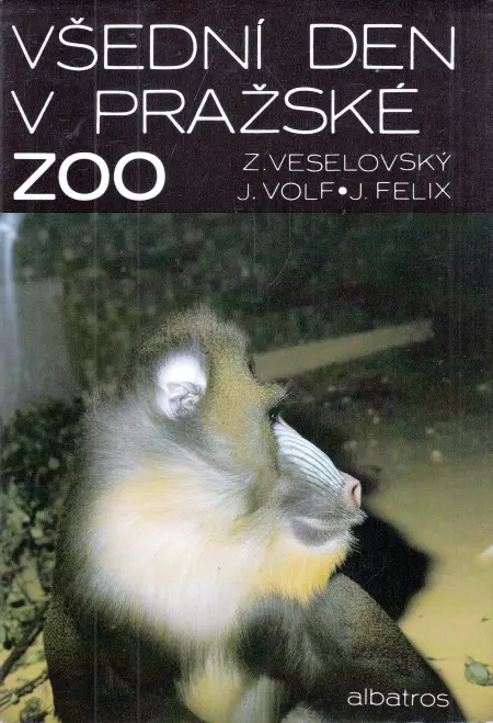 Všední den v pražské ZOO
