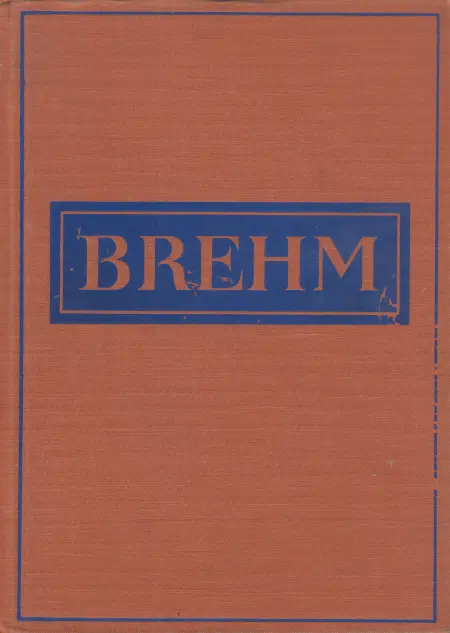 Brehmův život zvířat I. – Bezobratlí