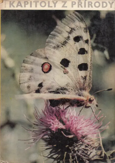 Kapitoly z přírody