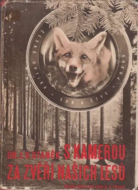 S kamerou za zvěří našich lesů