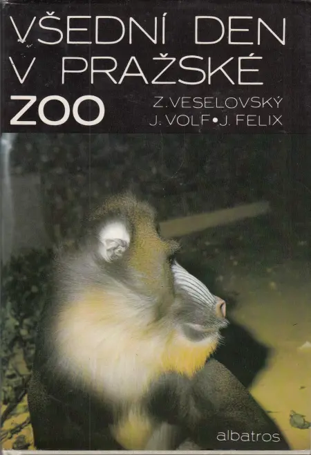 Všední den v pražské ZOO